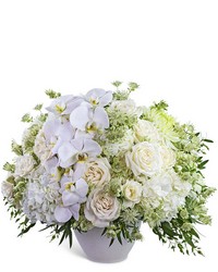 Orchid Couture from The Posie Shoppe in Prineville, OR
