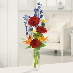 Gerbera Greetings from The Posie Shoppe in Prineville, OR