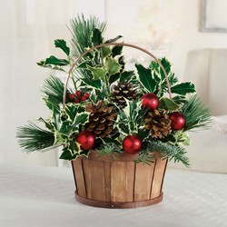 Evergreen holly basket from The Posie Shoppe in Prineville, OR